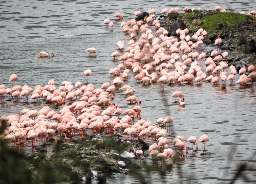 Arusha National Park