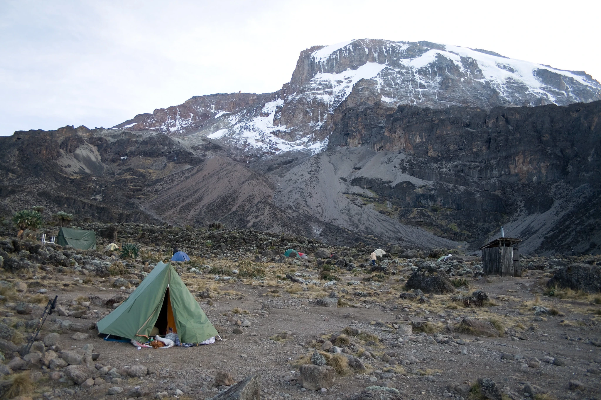 Kilimanjaro Day Hike