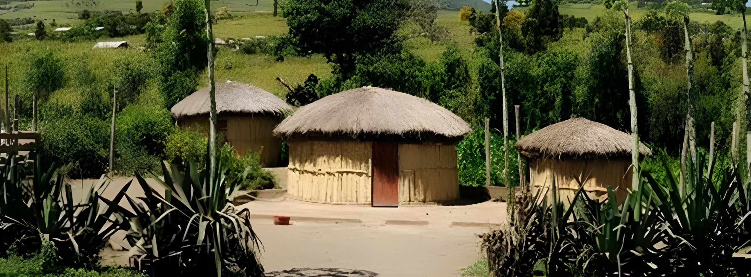 Arusha – Ng’iresi Village of Waarusha tribe