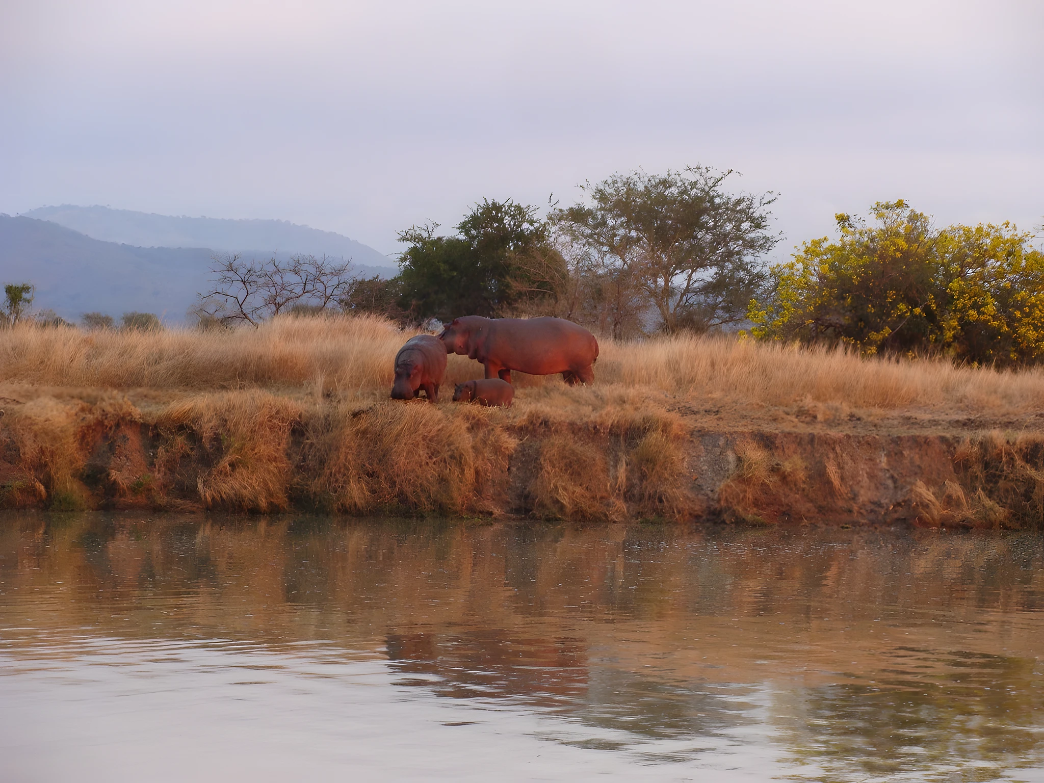 Cycle to Ngorongoro Crater