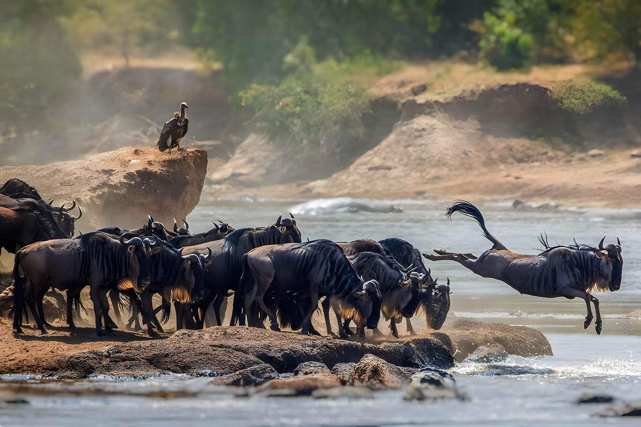 Wildebeest Migration Safari to Tarangire, Serengeti & Ngorongoro Crater