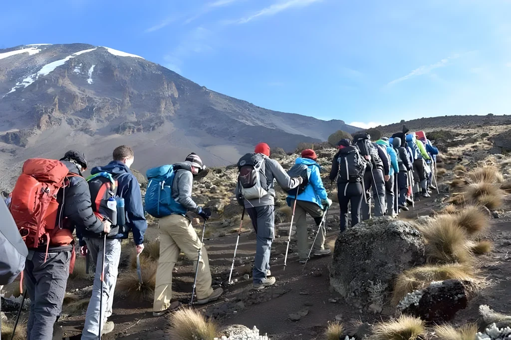 Marangu “Coca-Cola” Route in 5 Days - Green Tours Tanzania