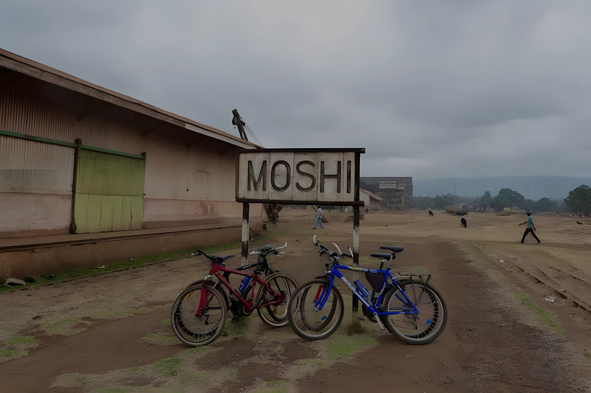 Moshi Town Tour