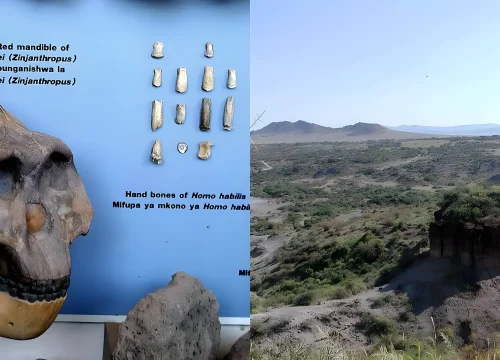 Olduvai Gorge