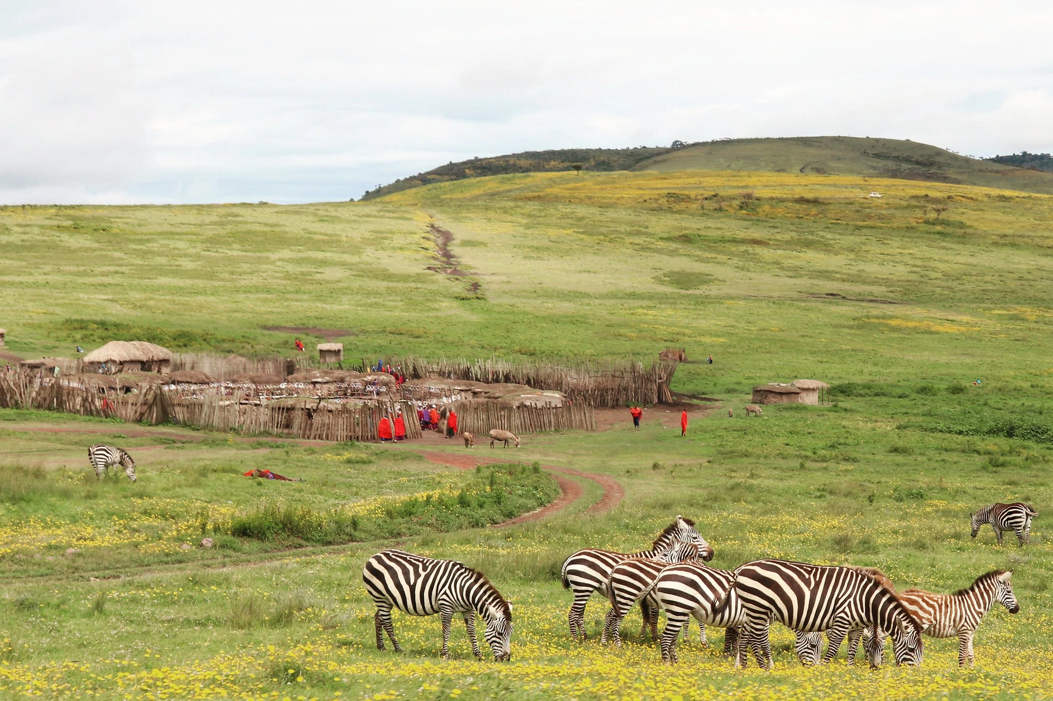 Visits to Maasai Bomas / Villages in Ngorongoro